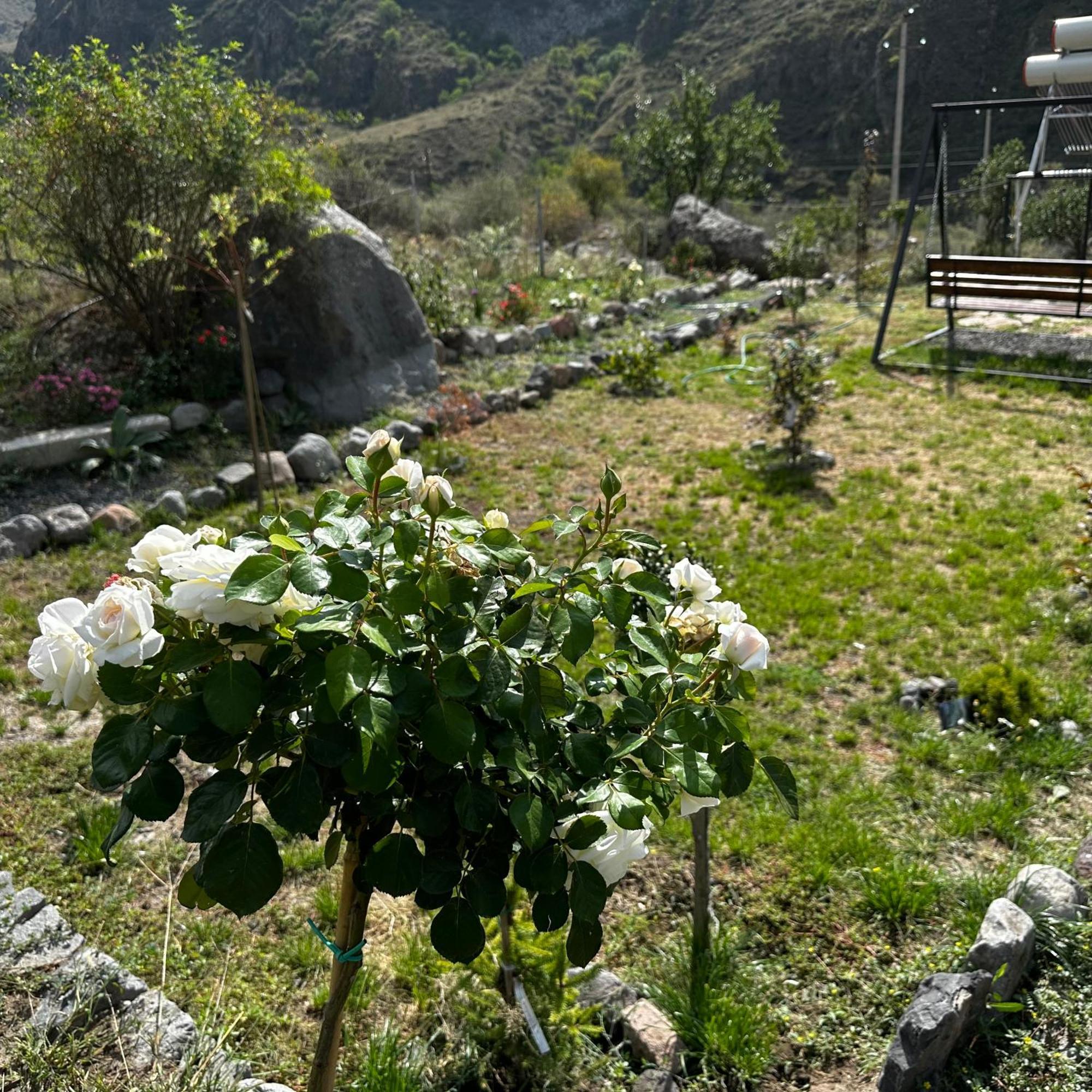 Vardzia Glamping Kültér fotó
